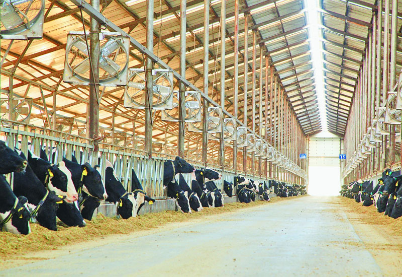 畜牧養(yǎng)殖伴熱